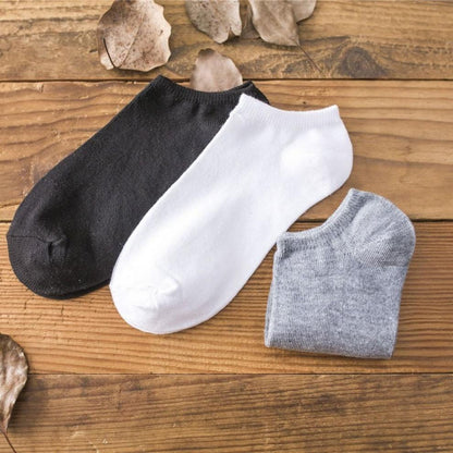 903f56660d8375bff673b9b578eb065a